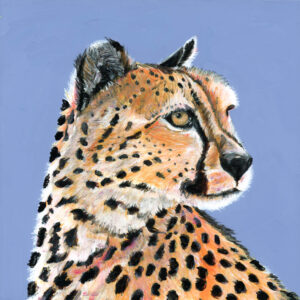 cheetah 3 small
