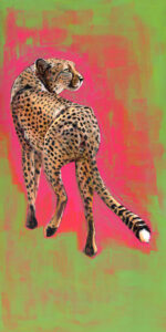 cheetah 5 small