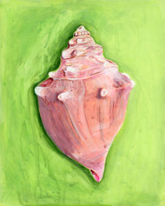 green shell small